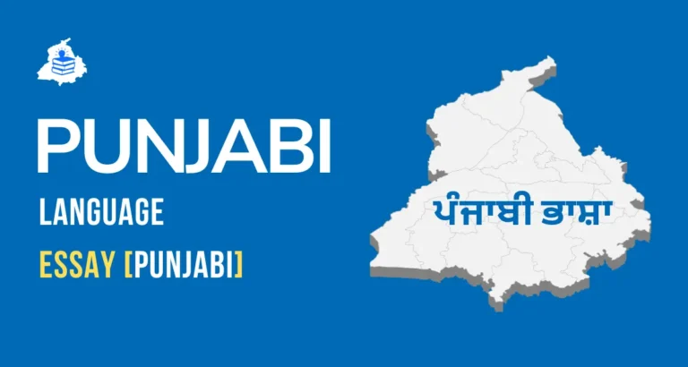 Punjabi Language 2025 | ਪੰਜਾਬੀ ਭਾਸ਼ਾ: ਉਤਪਤੀ ਤੋਂ ਅੱਜ ਤੱਕ 7 Punjabi Language
